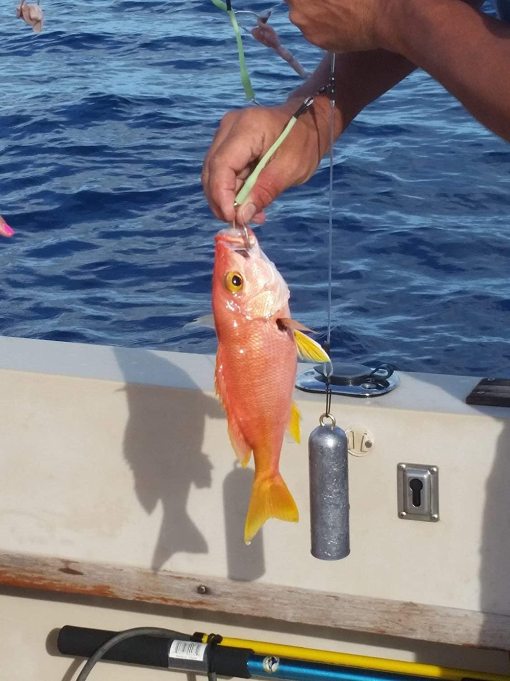 Full deep drop rig setup showing mainline swivel and bottom weight