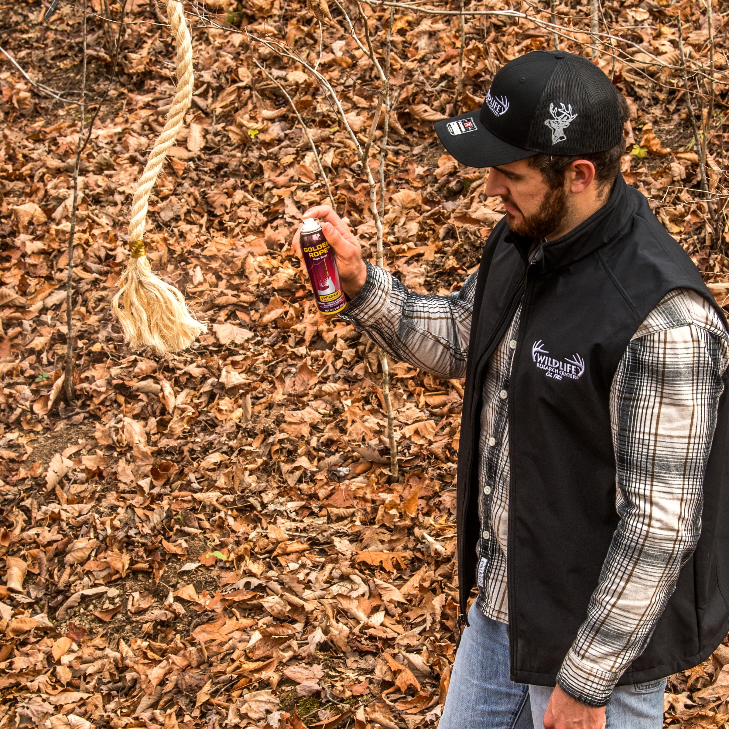 Attractant scent effective for both does and bucks