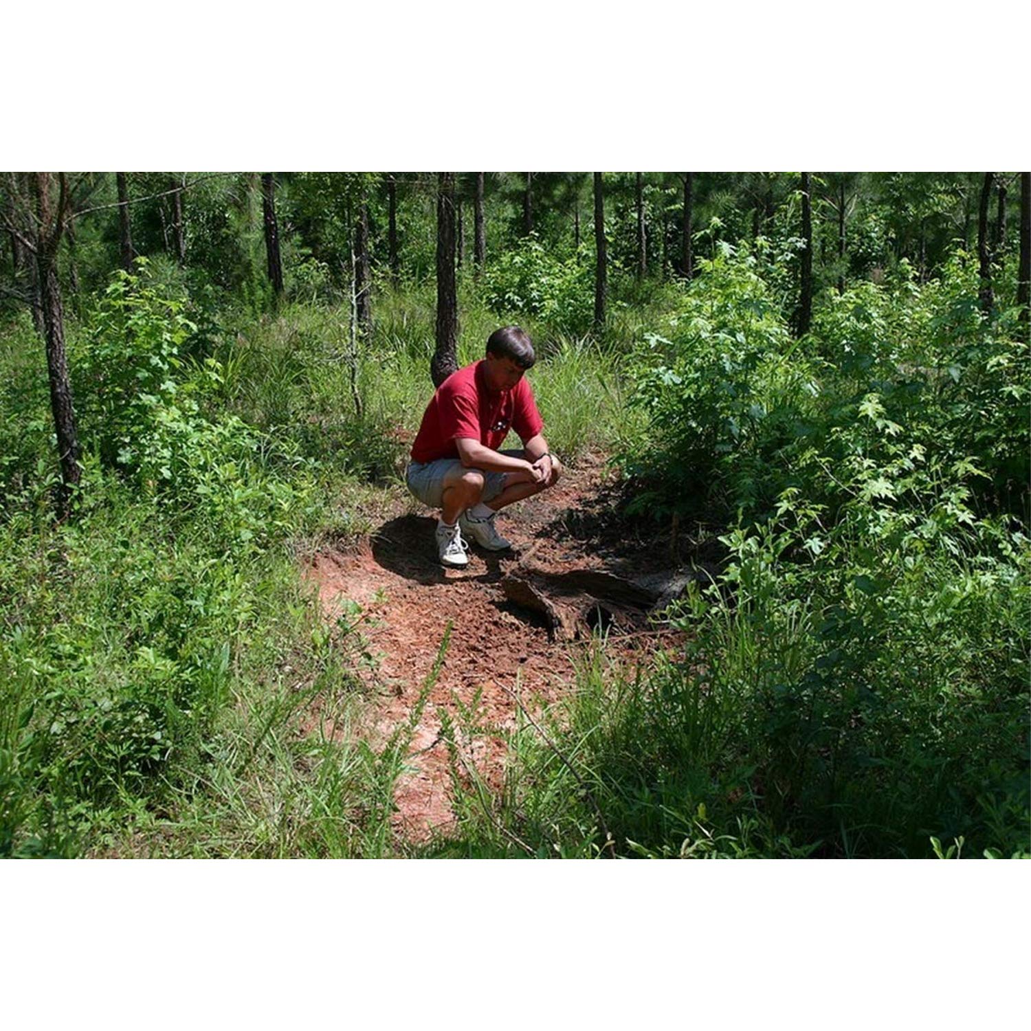 Ground-site application area for 30-06 mineral/vitamin supplement