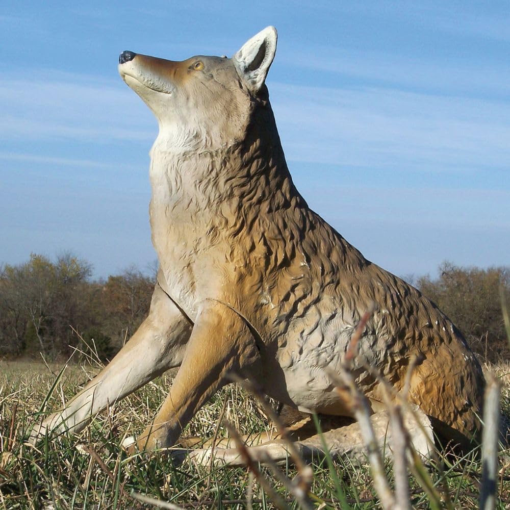 Scent pad spike on rear leg and adjustable ears