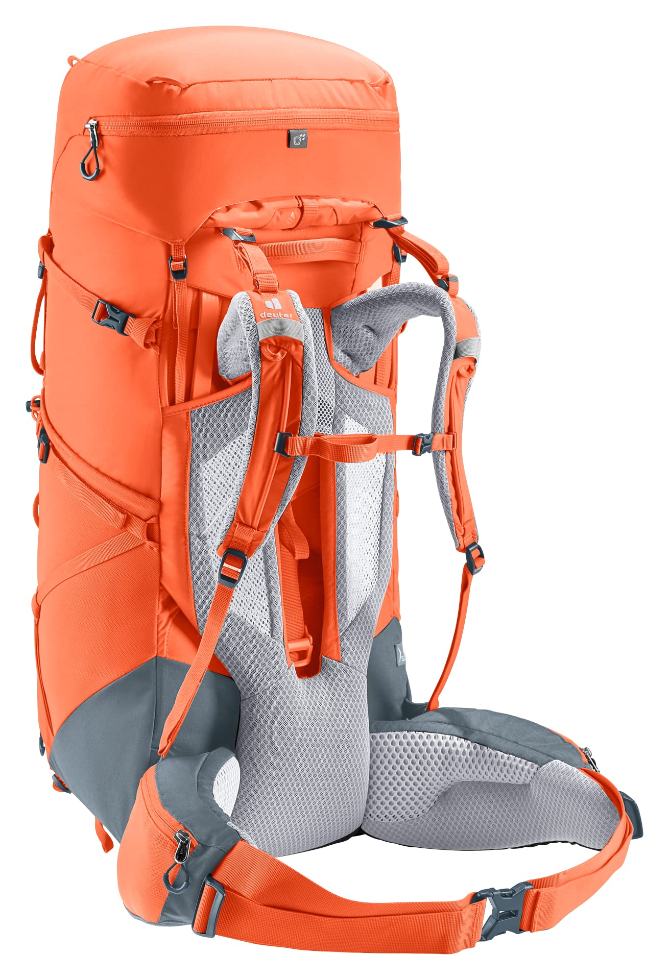 Deuter SL waist belt with Pull-Forward for heavier loads
