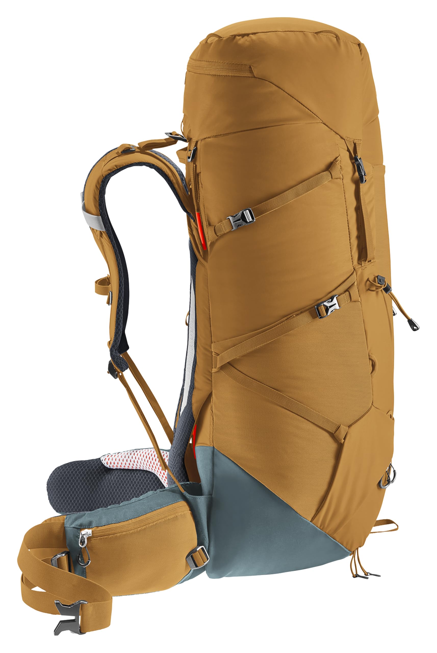 Deuter Aircontact Core 50+10L waist belt adjuster close-up for heavy loads
