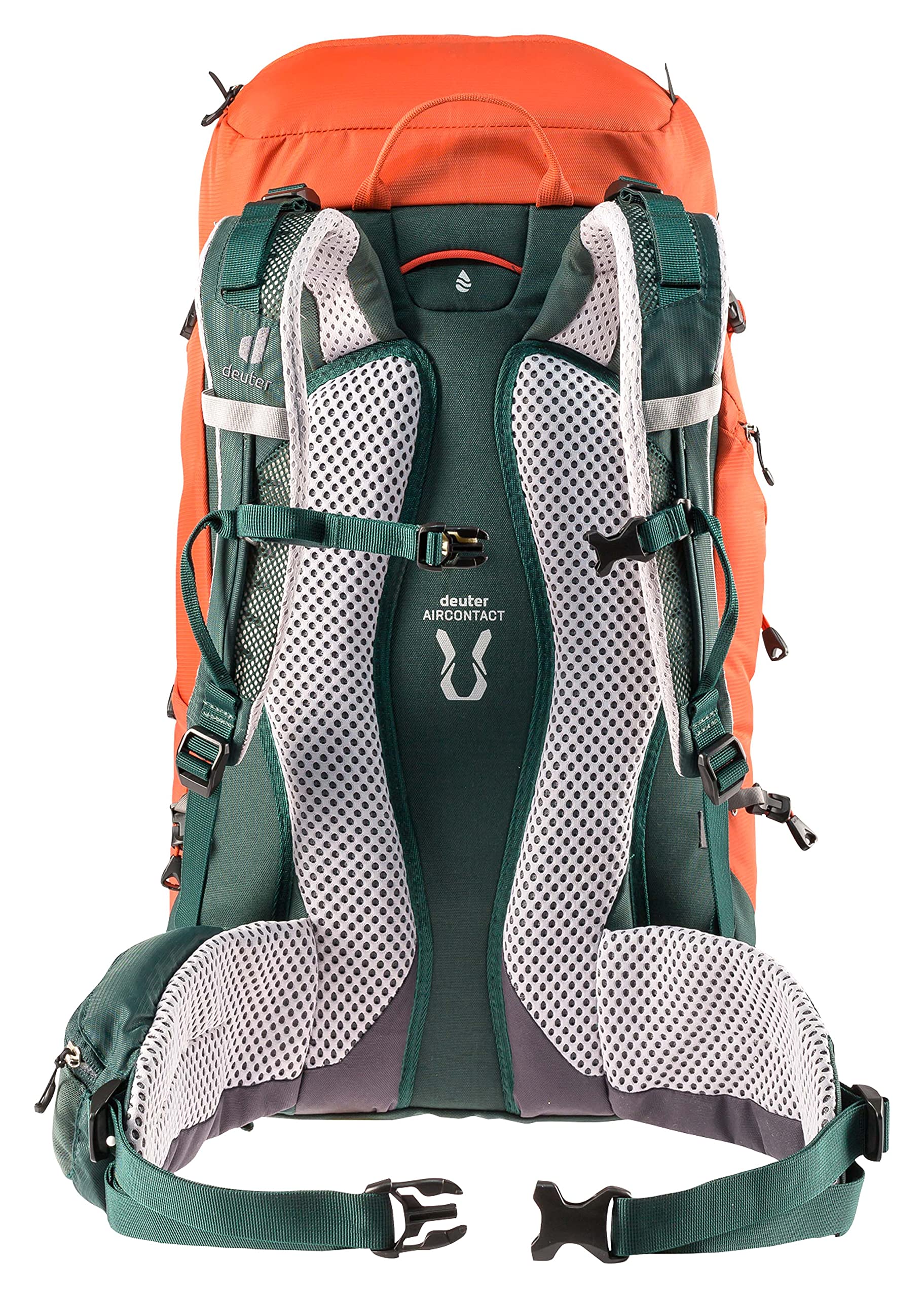 Deuter Trail 28 SL back panel highlighting ventilation and support