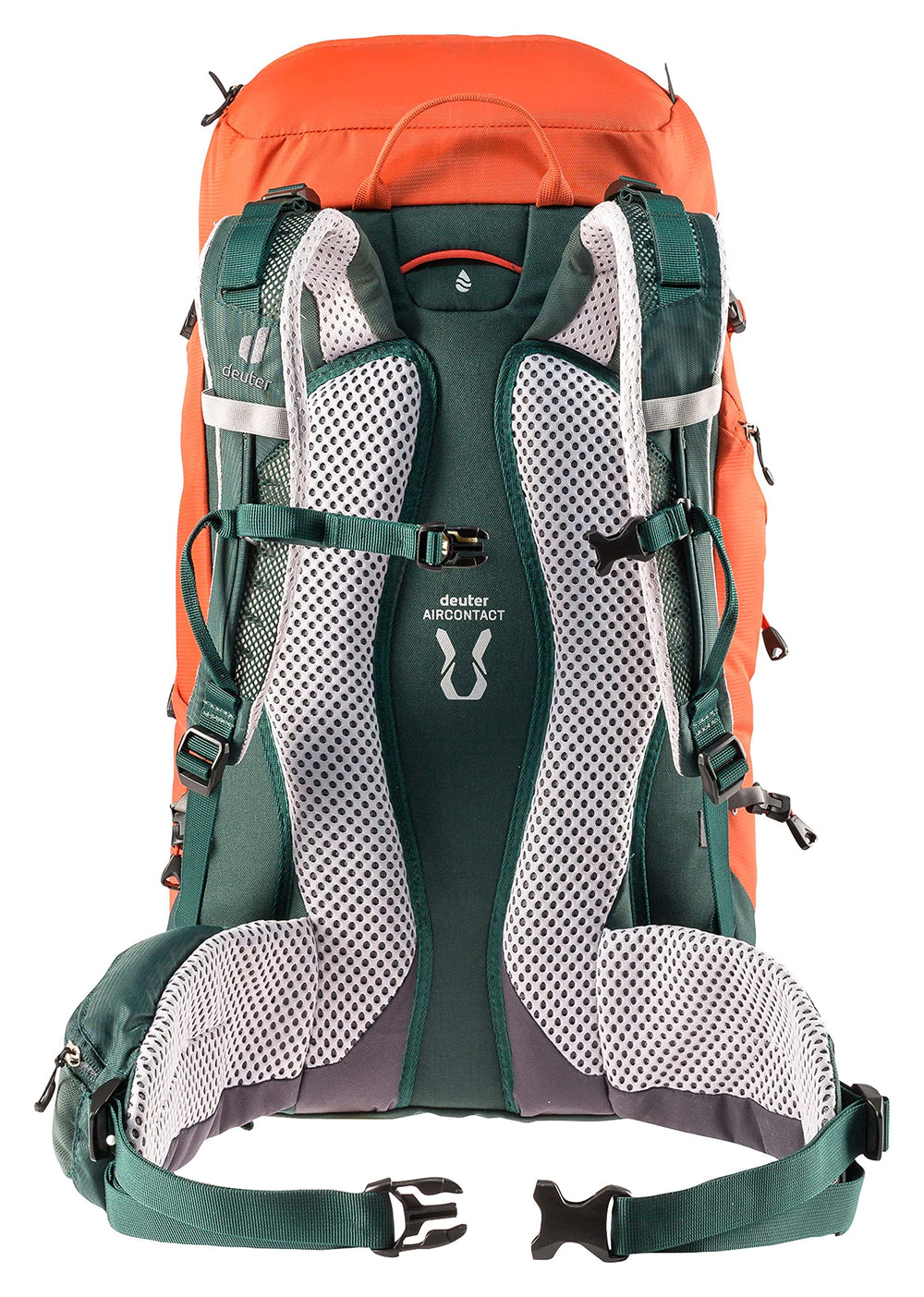 Deuter Trail 28 SL back panel highlighting ventilation and support