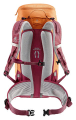 Deuter Trail 22L SL back panel showing ventilation and support