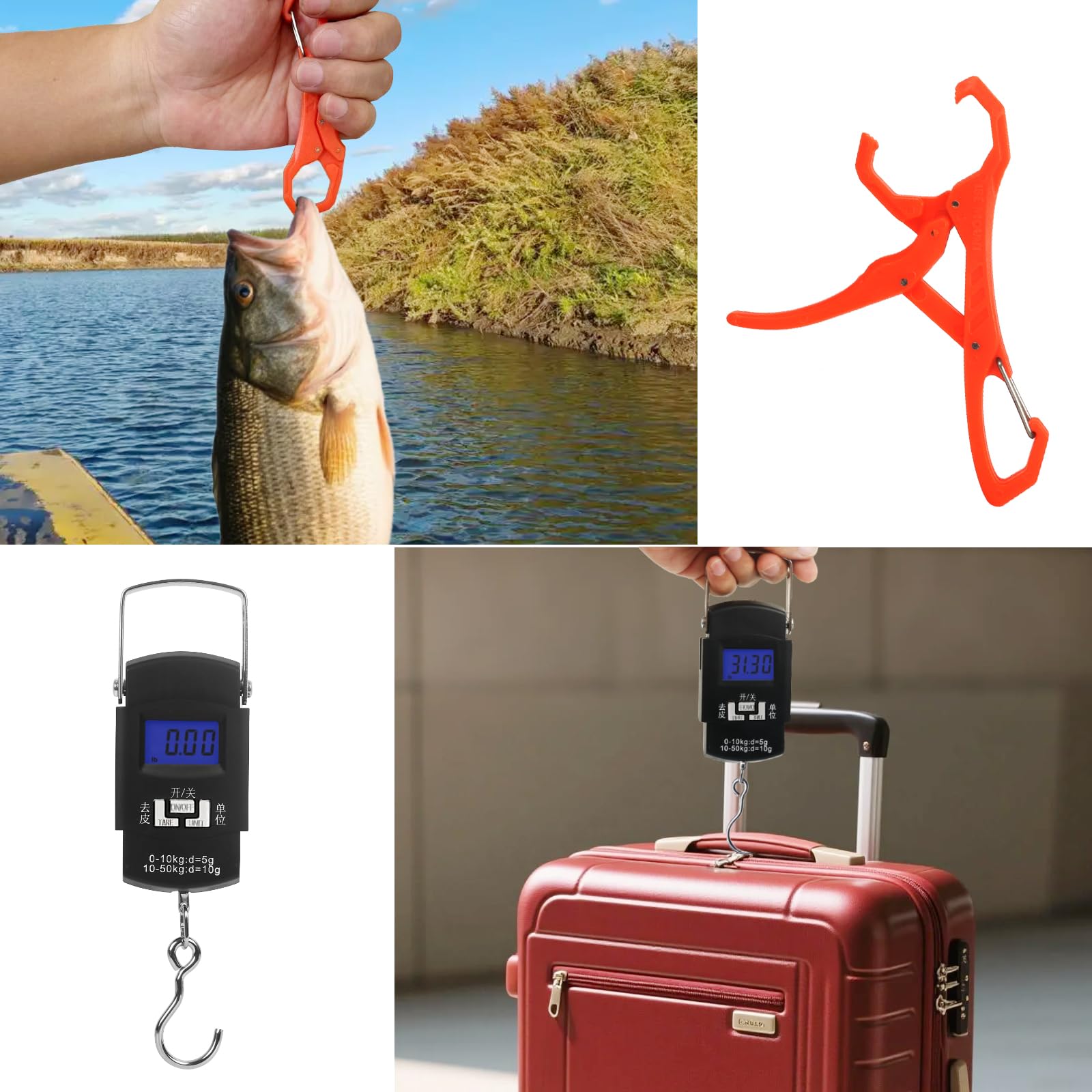 Backlit LCD and unit selection on digital scale