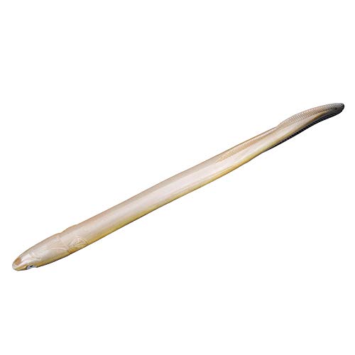 Dilwe eel-shaped lure in soft PVC demonstrates flexible action for freshwater and saltwater