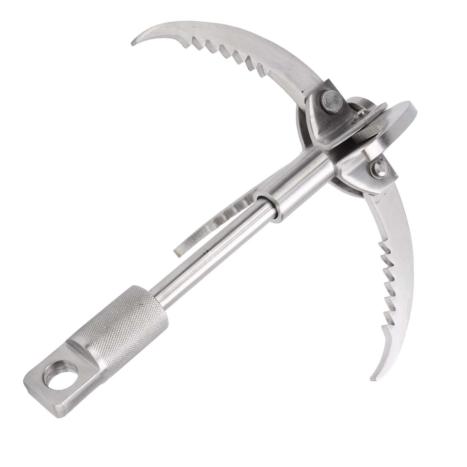 Dilwe grappling hook applied to tree and rock for secure anchoring.