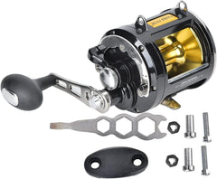 Dilwe Saltwater Reel side angle highlights corrosion-resistant body built for coastal jigging