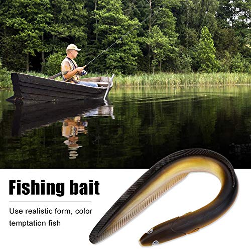 Dilwe fishing bait with natural color enhances underwater visibility and bite opportunities
