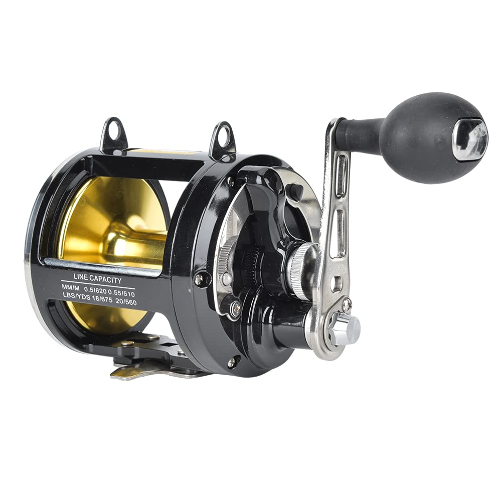 Dilwe TR12000 shows 8 sealed stainless steel bearings for smooth, reliable retrieves