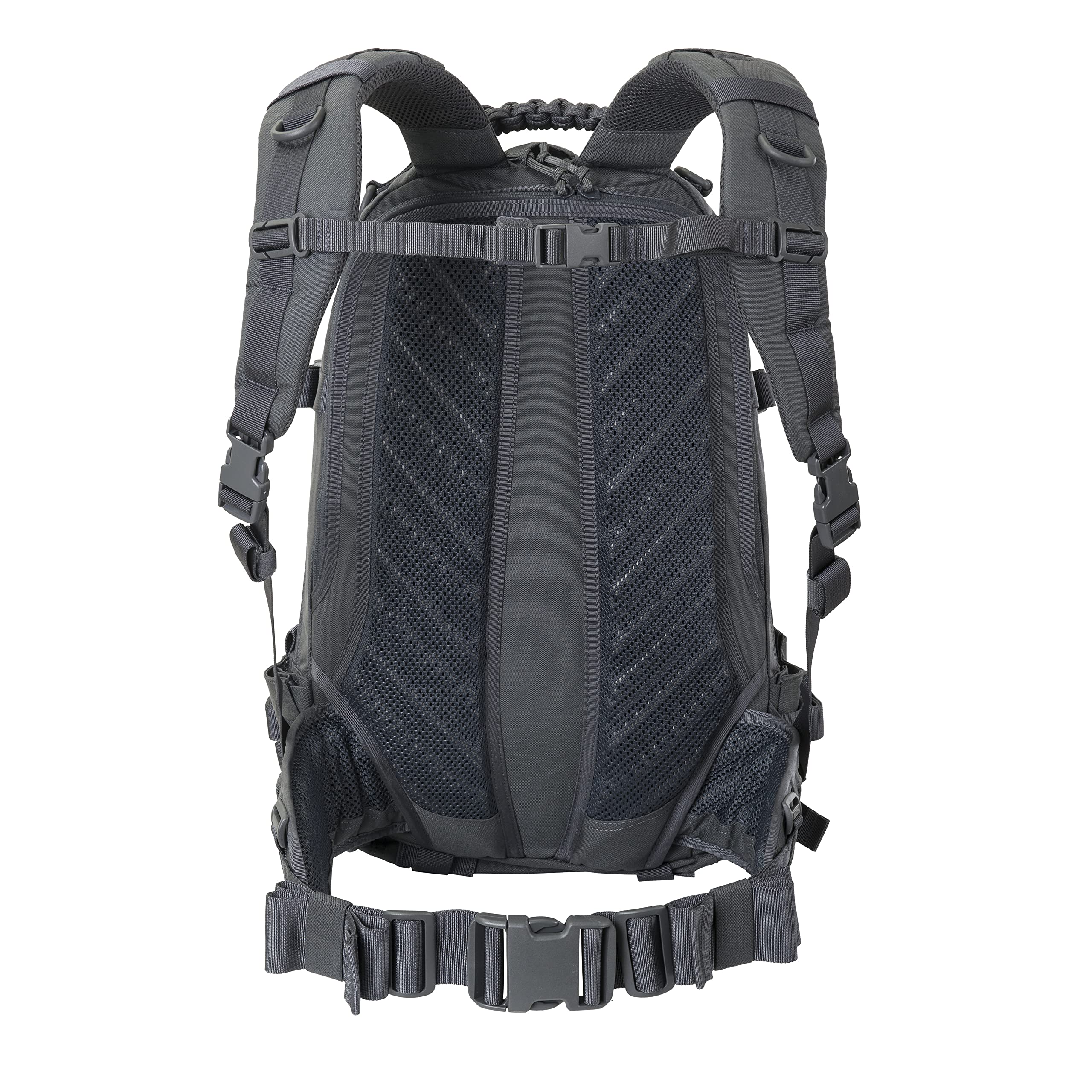 Direct Action Dragon Egg Enlarged Shadow Grey 30L back view highlights hydration pocket and lumbar support.