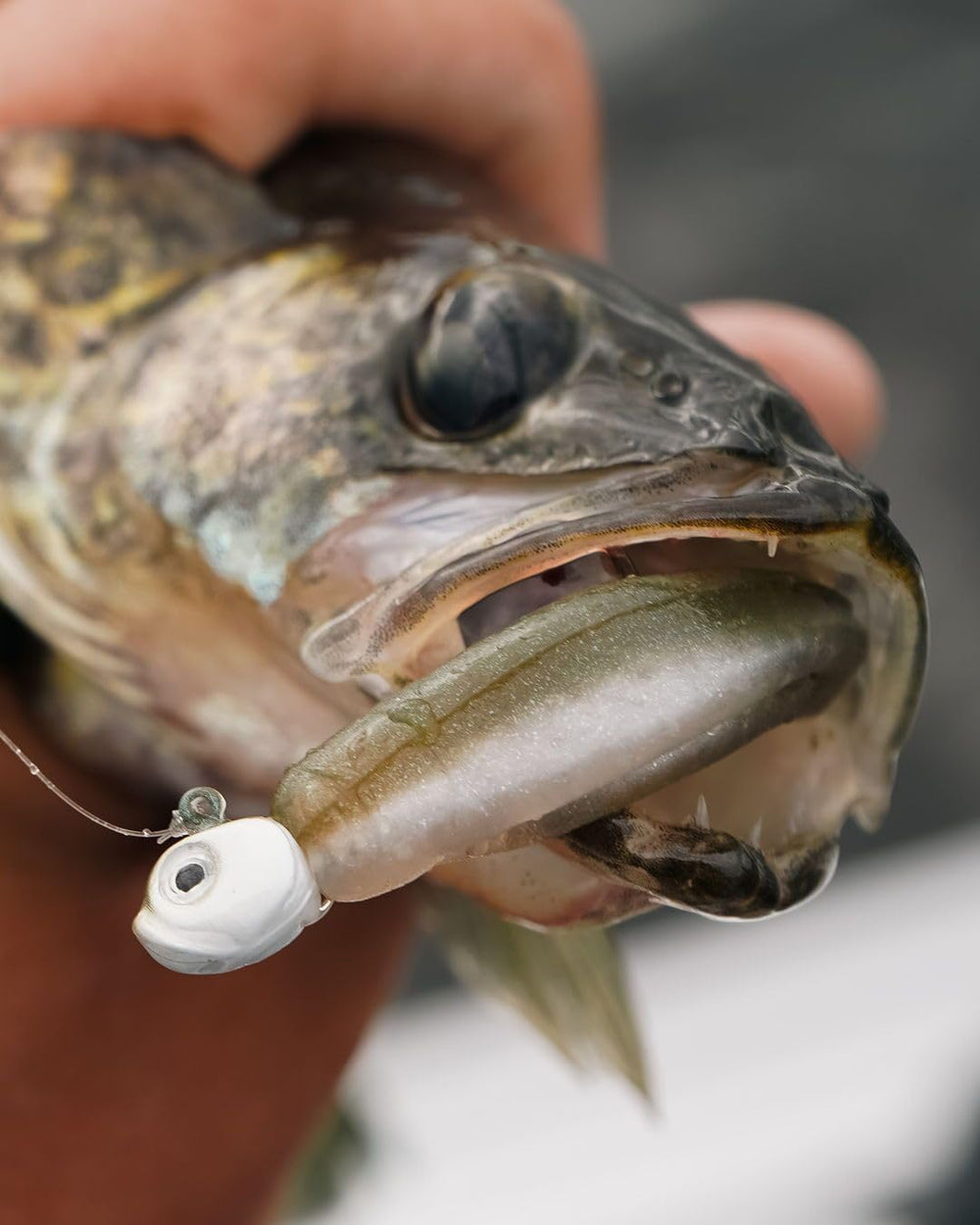 Close-up of jig head and hook