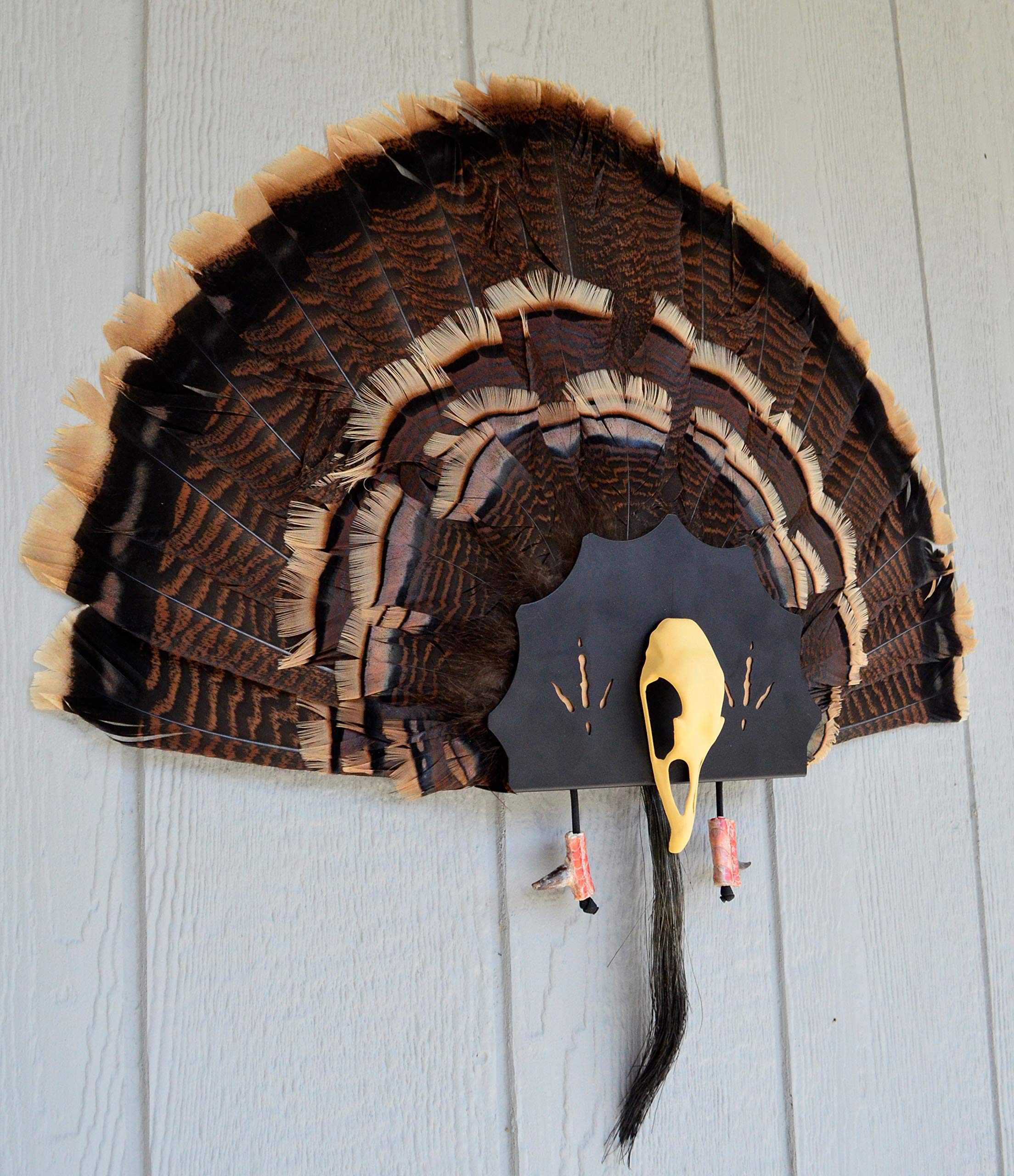 Do All Outdoors Life-size removable 3D skull enhances realism when showing fan, beard, and spurs.