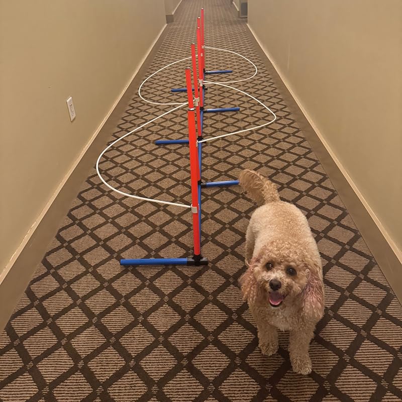 Dog agility weave pole guides snap-on attachment for quick setup on standard poles.