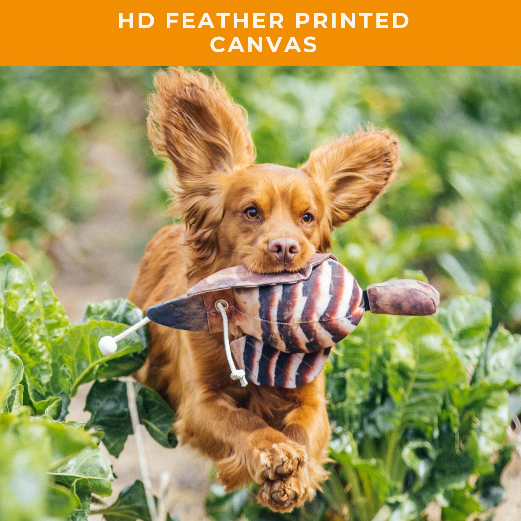 Dog & Field The Original Clone variety poultry set for versatile drills.