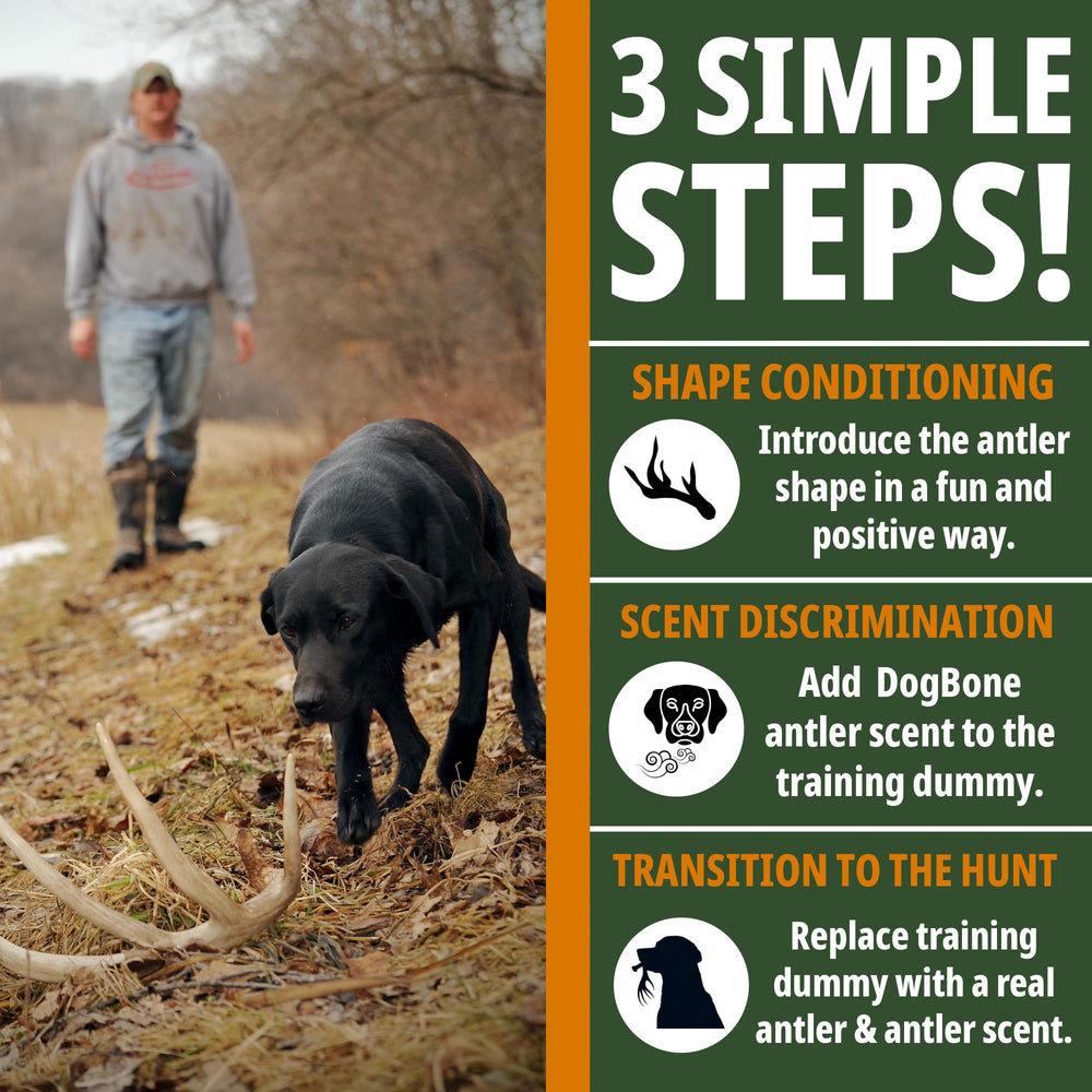 DogBone antler scent detection in woods optimizes scent search.