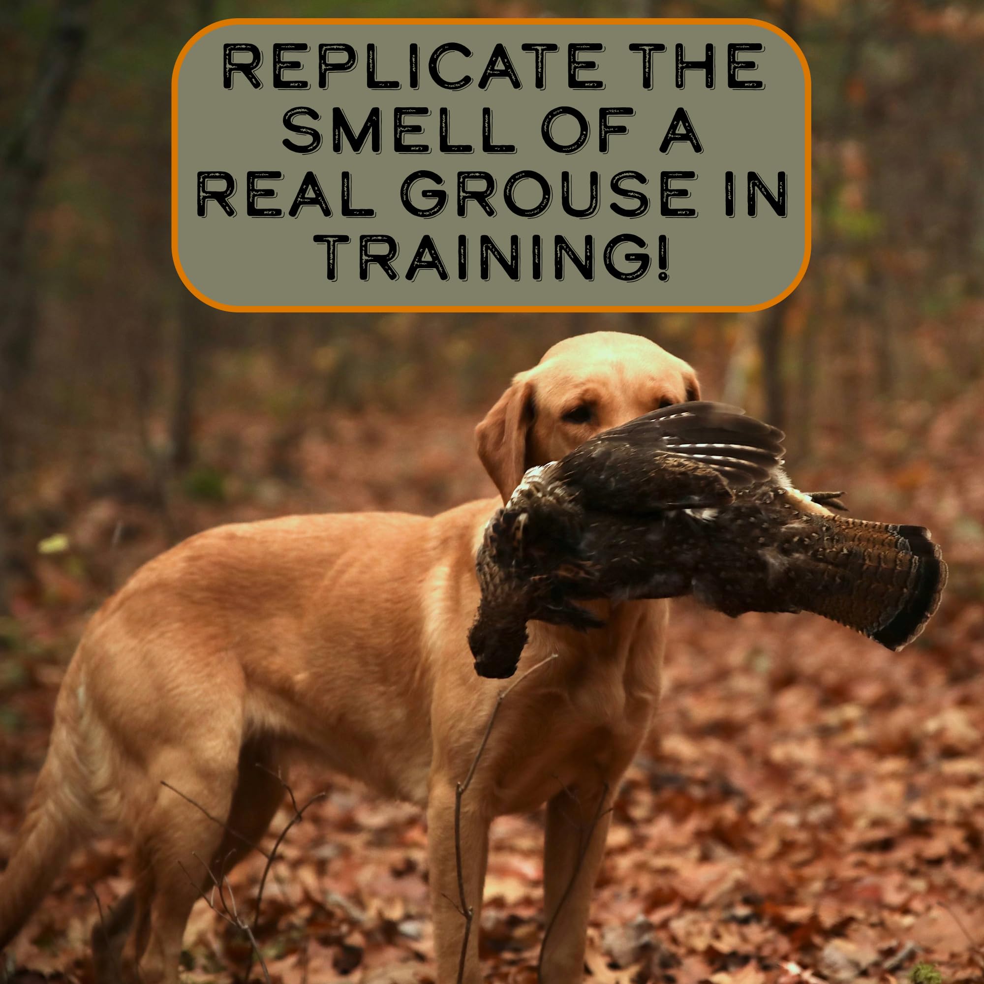 Applying DogBone Grouse Scent to a toy for hunting dog engagement
