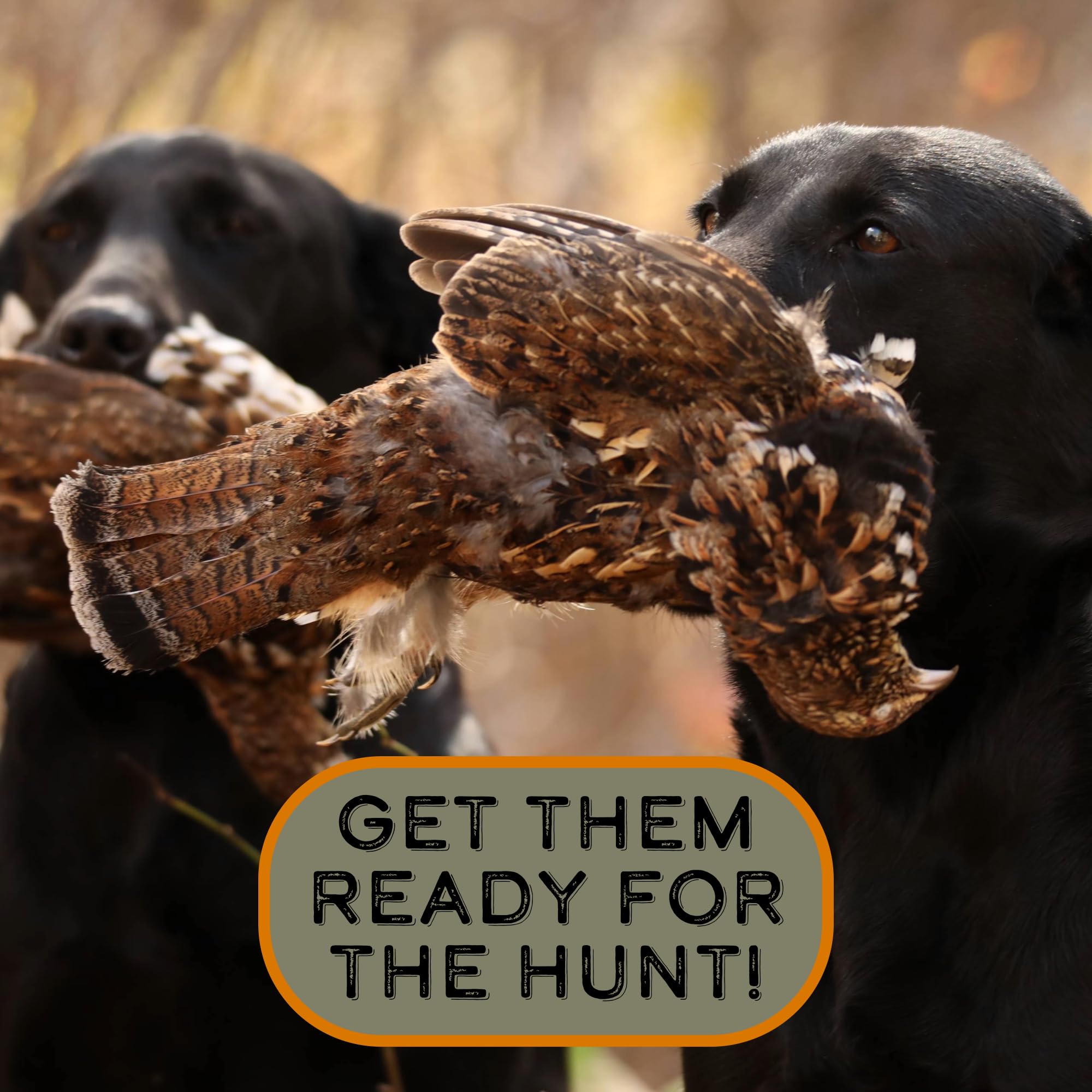 DogBone Grouse Scent bottle with usage tips for training