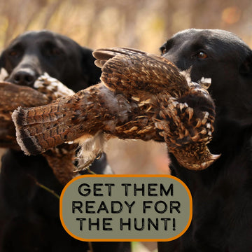 DogBone Grouse Scent bottle with usage tips for training