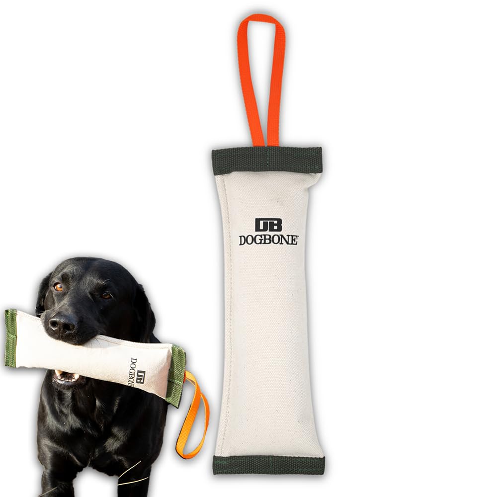 DogBone duck canvas training dummy front view, built for durable land retrieves