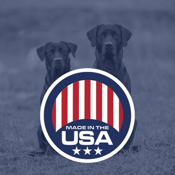 Field-test scene with a sniffing dog and DogBone scent cue