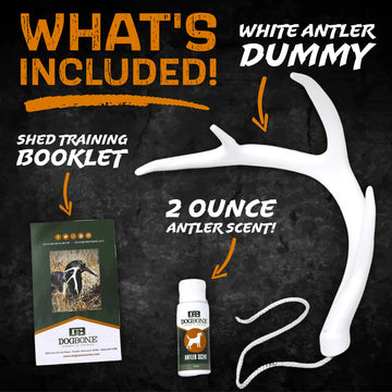 DogBone flexible antler dummy floats for safe water and land retrieves.
