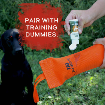 DogBone pheasant scent dog sniffing to engage scent-based training.