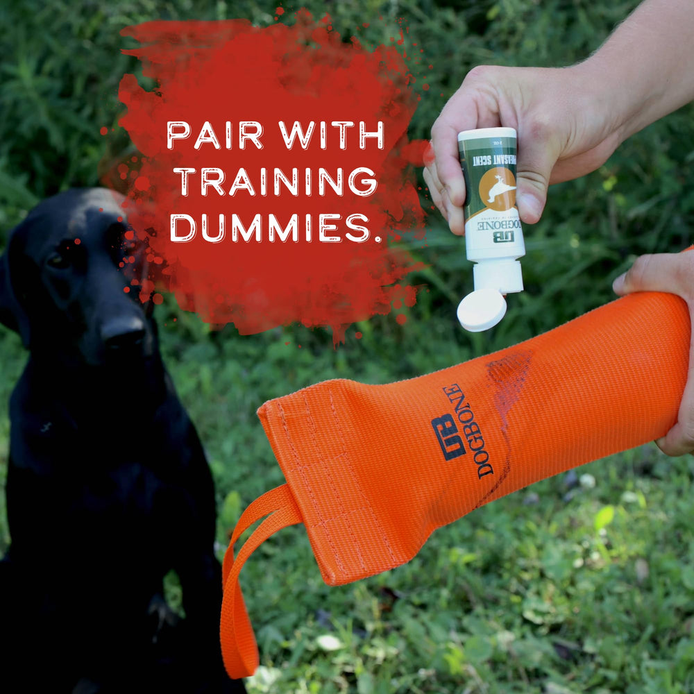 DogBone pheasant scent dog sniffing to engage scent-based training.