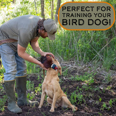 DogBone pheasant scent training setup showing integration with gear.