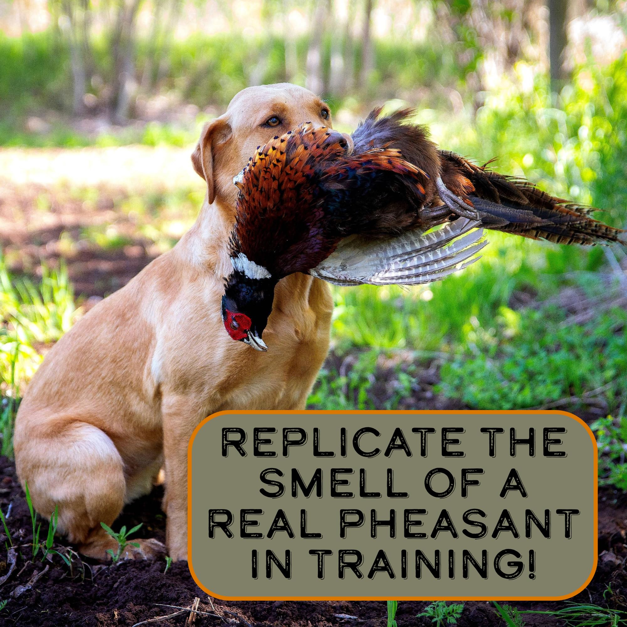 DogBone pheasant scent USA-made label indicating quality craftsmanship.
