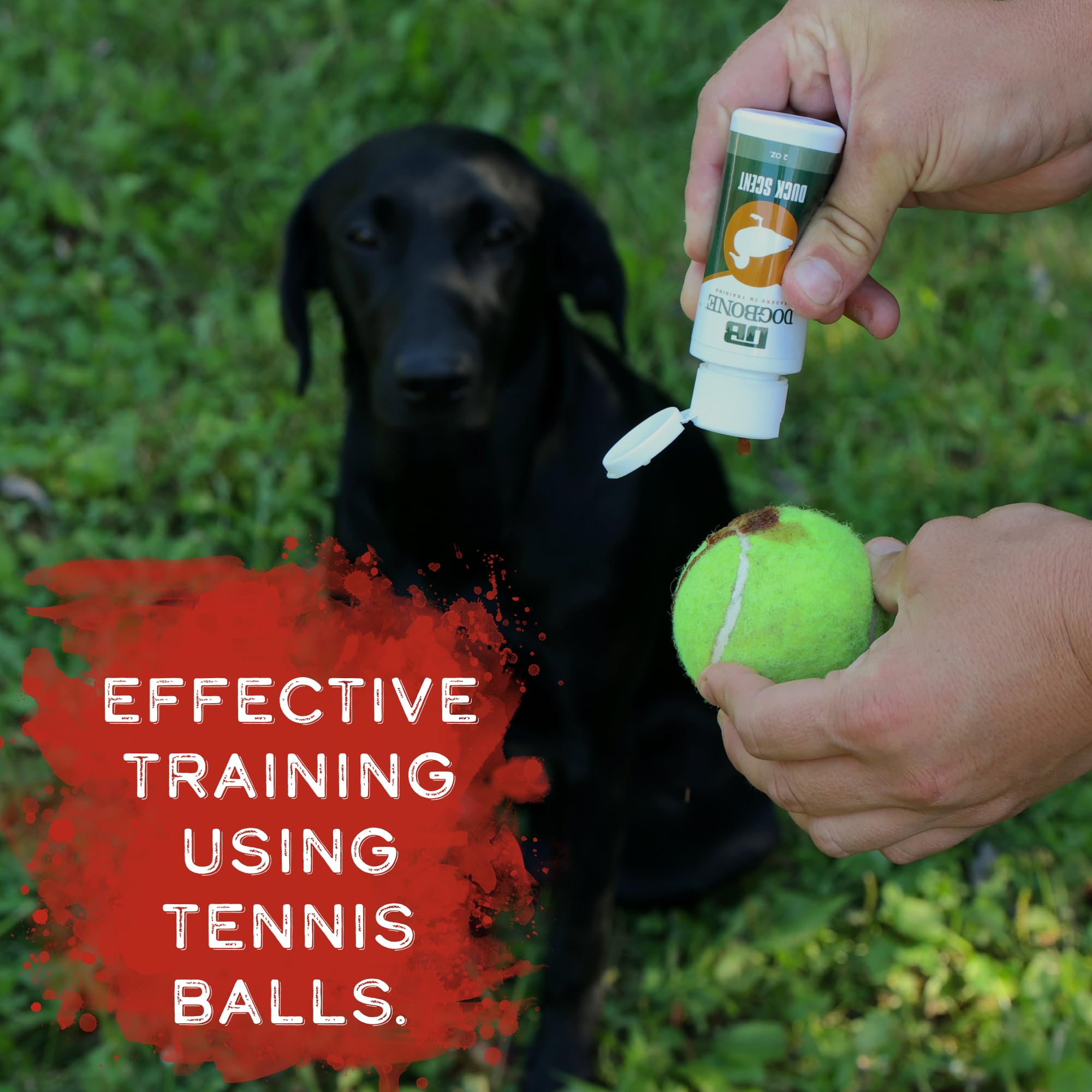 DogBone realistic duck odor during training enhances realism of sessions.