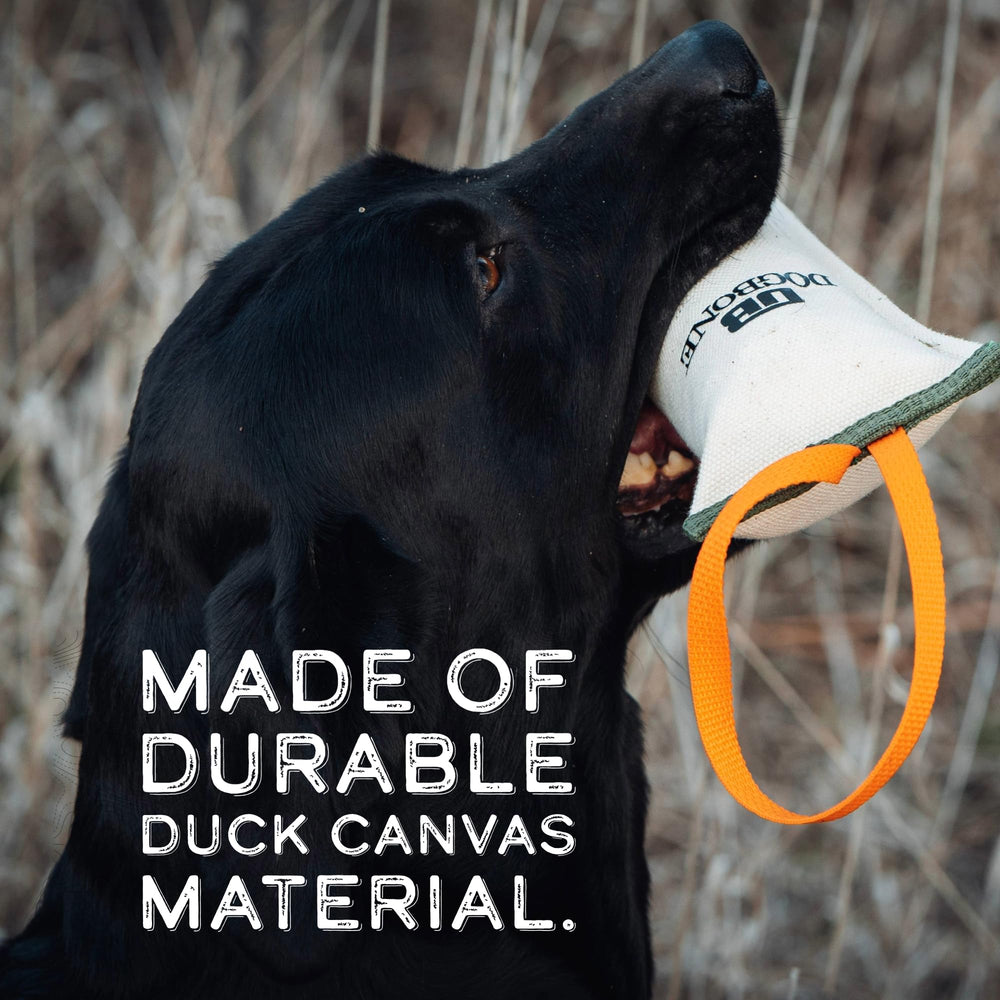 DogBone compatible with scents to boost training sessions for hunting dogs.