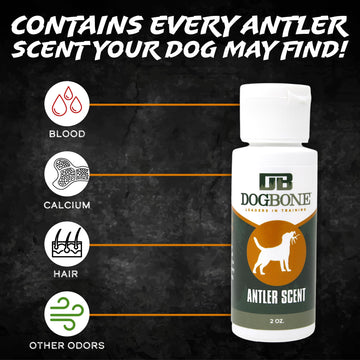 DogBone scent discrimination exercise builds focused nosework for puppies.