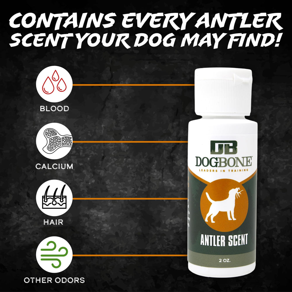 DogBone scent discrimination exercise builds focused nosework for puppies.