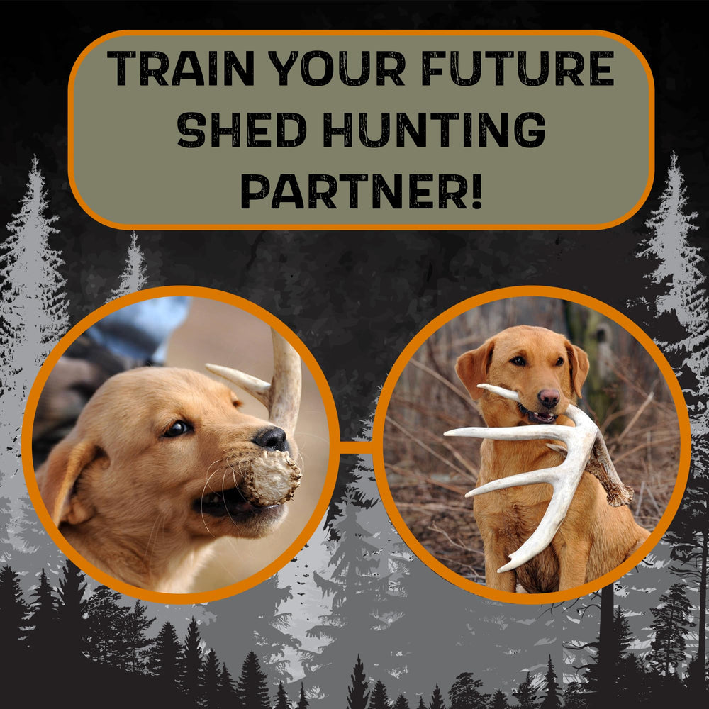 DogBone training tools overview for field-ready shedding tasks.