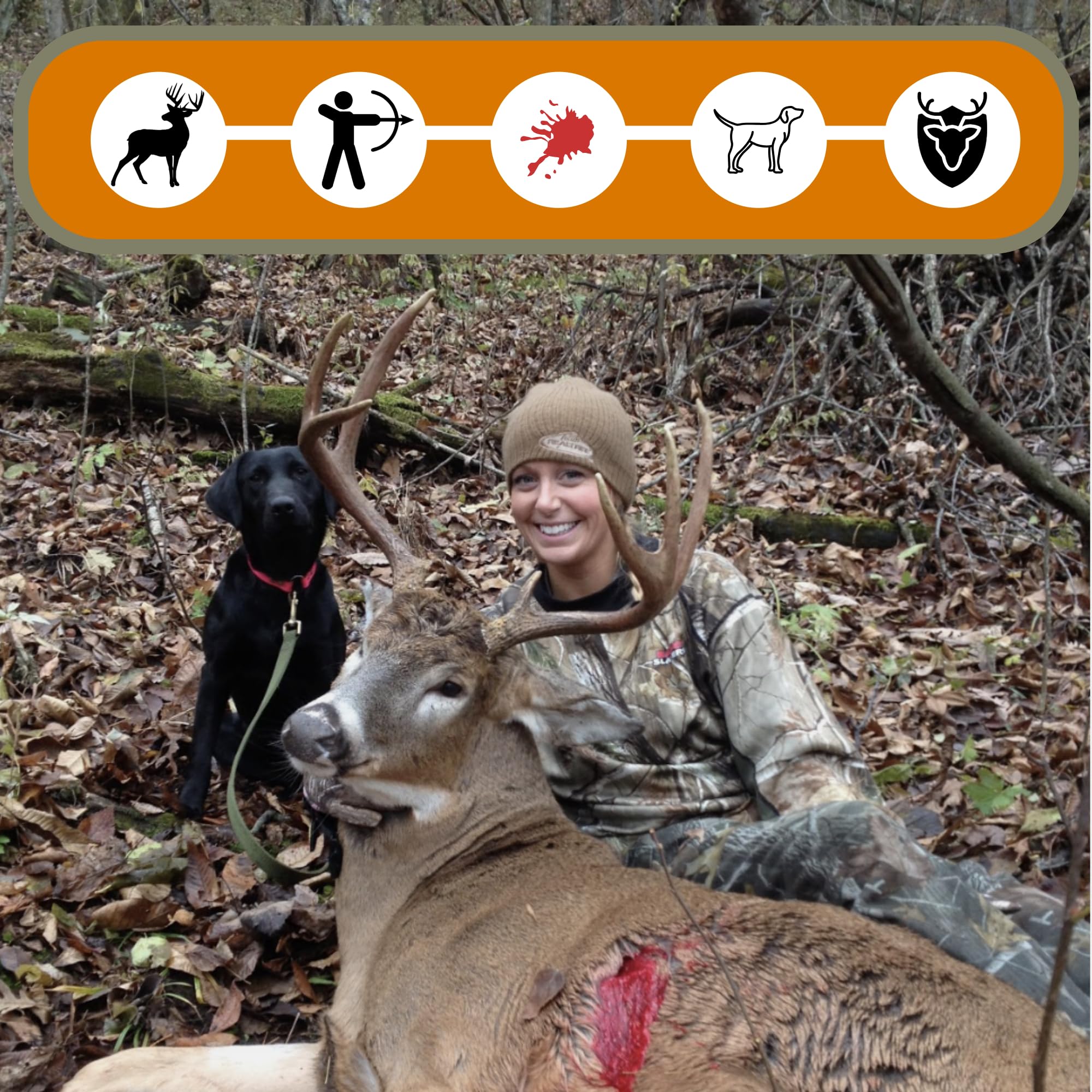 DogBone BloodTrail Scent work engages dogs in scent tasks.