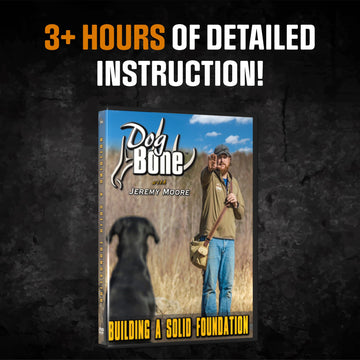 DogBone Step-by-step instruction shot illustrating easy-to-follow training foundations.