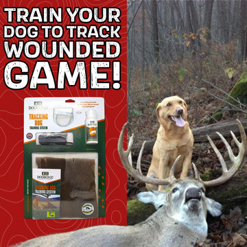 DogBone Tracking System training scene demonstrates step-by-step dog scent training for wounded game.