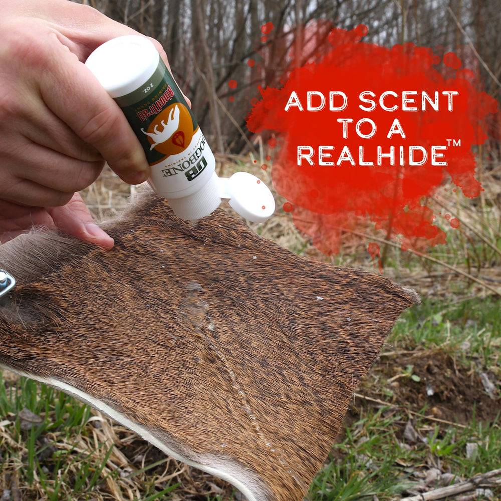 DogBone training setup shows how to lay down scent clues.