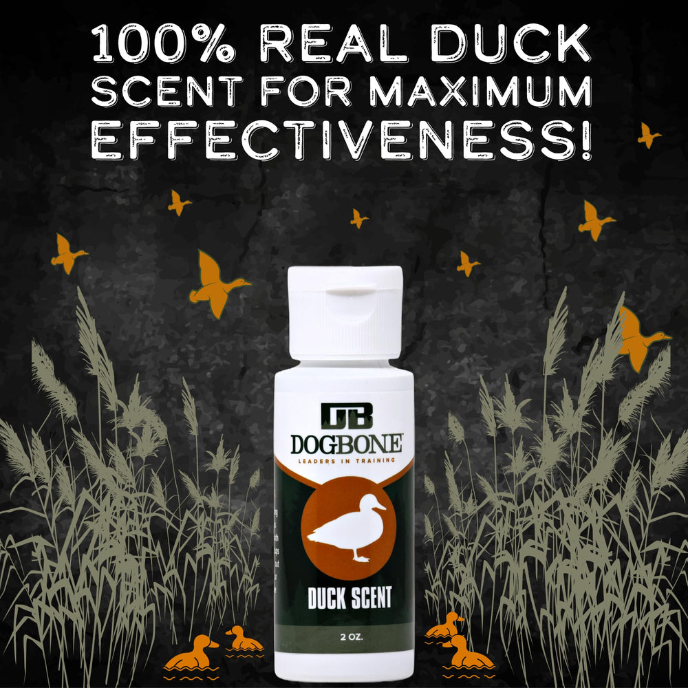 DogBone training ball with duck scent boosts scent-triggered retrieves.
