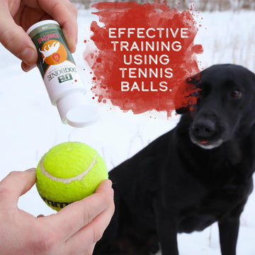 DogBone dog training kit box displayed for easy setup.