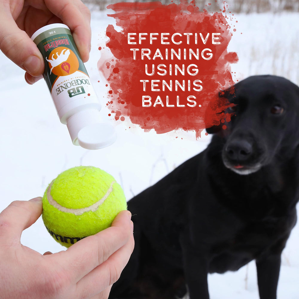 DogBone dog training kit box displayed for easy setup.