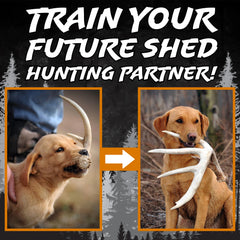 DogBone training manual included guides scent discrimination and shape conditioning.