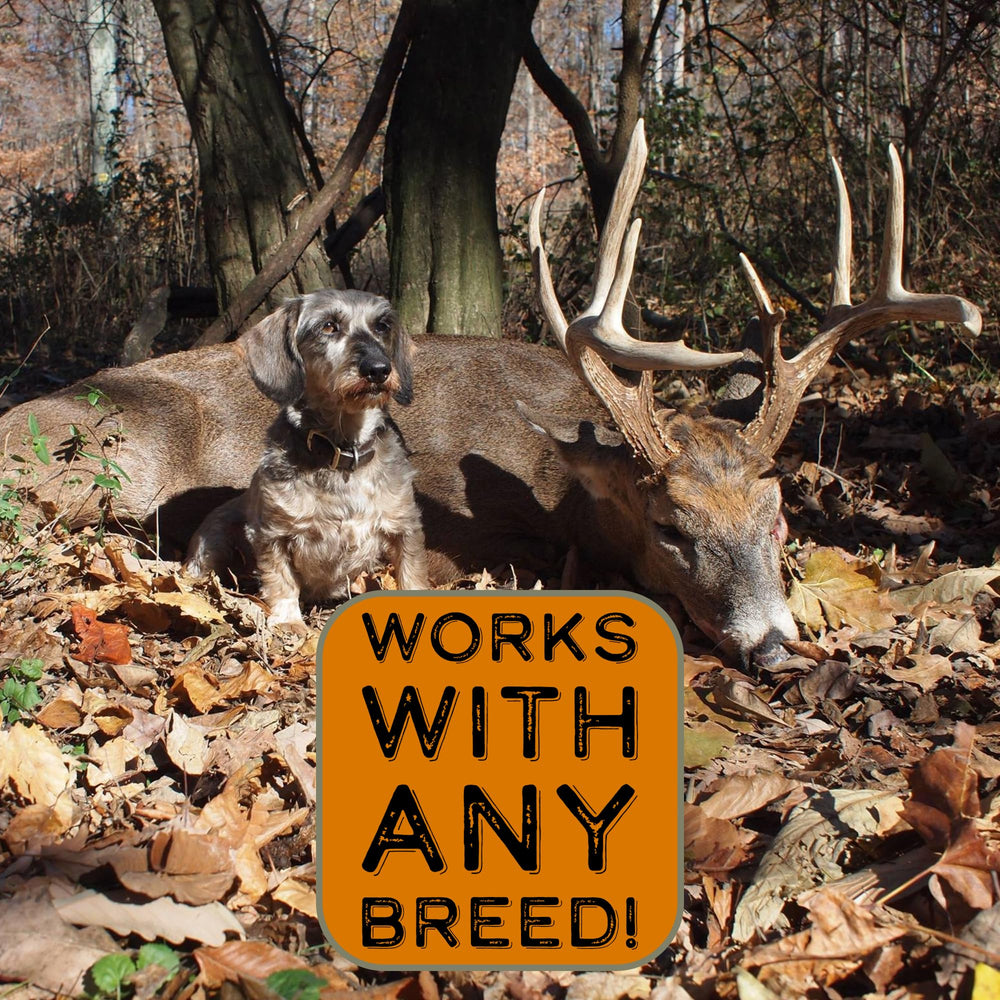 DogBone tracking protocol guide helps handlers stage field conditions safely.