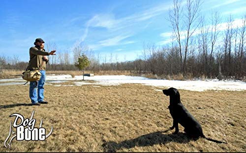 DogBone Universal training concepts frame highlighting behavior identification and improvement.