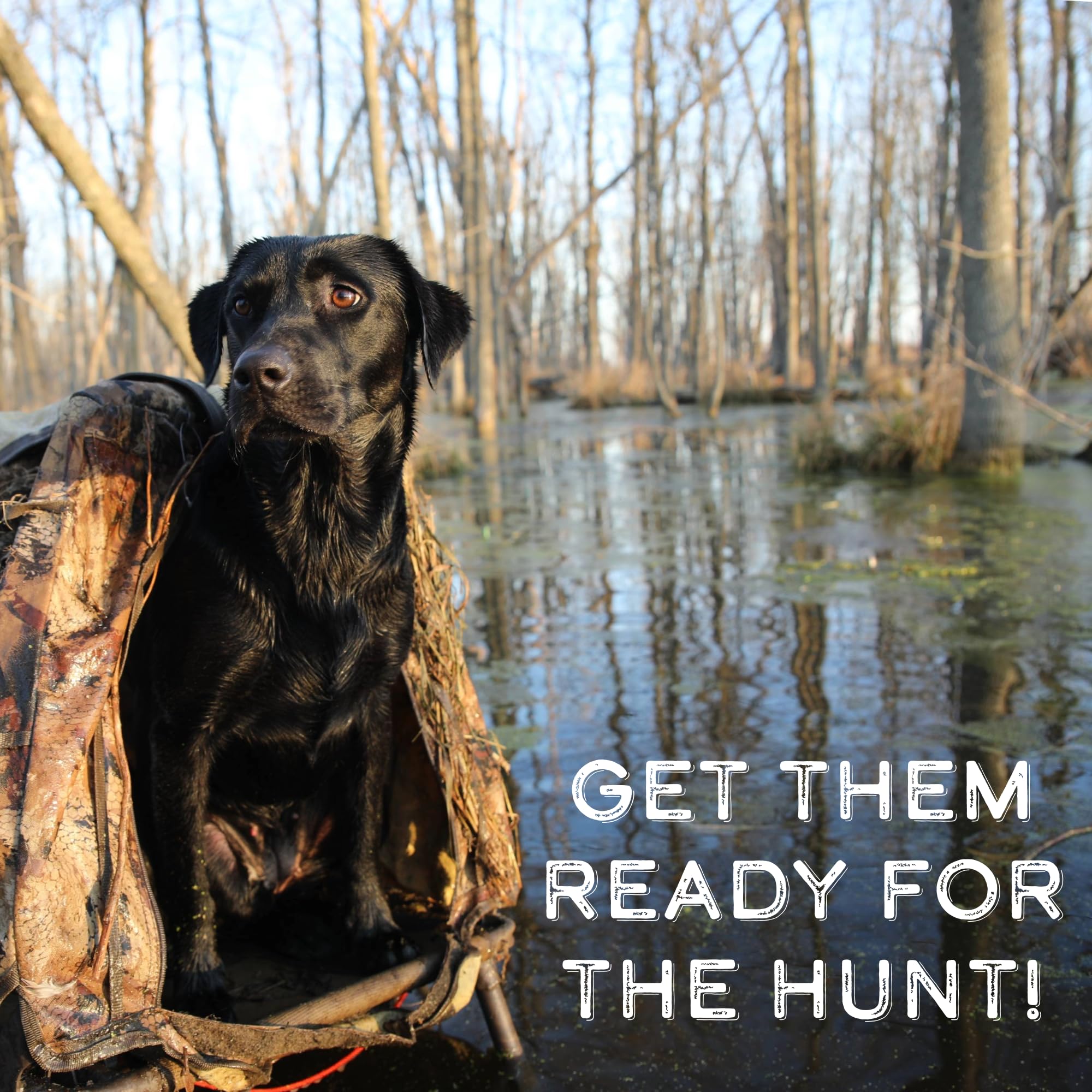 DogBone US-made training tools pack for quality training aids.
