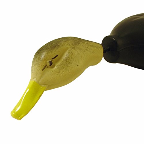 Dokken Dead Fowl Black Duck Trainer with free swinging head and feet for natural pickup.