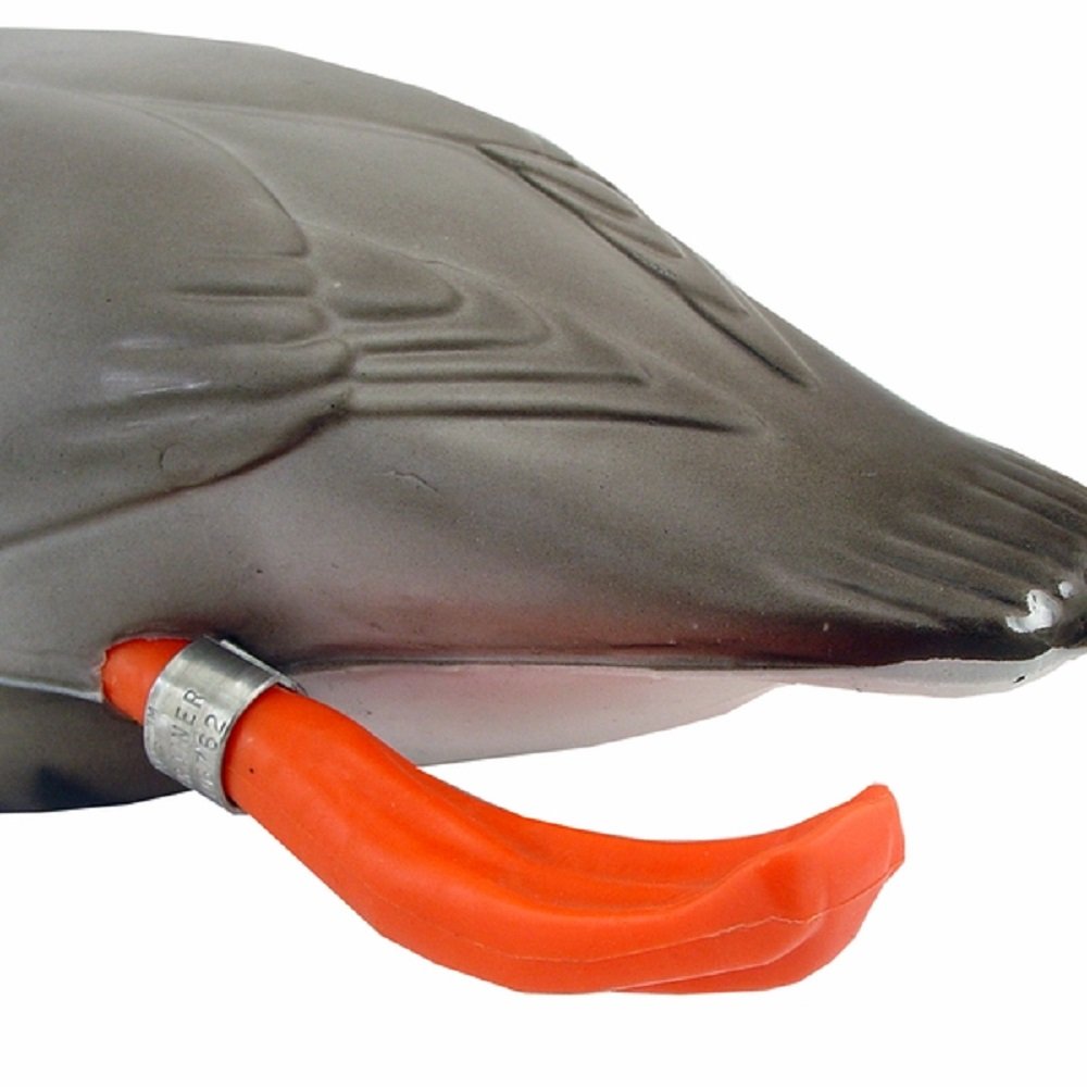 Dokken water training dead fowl trainer floating feature supports durable aquatic practice.