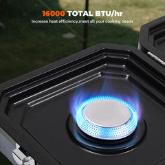 Dollate stove griddle surface for versatile outdoor cooking.